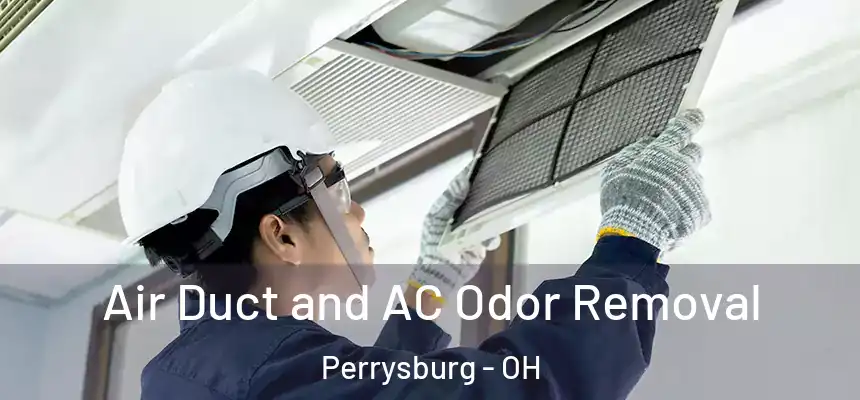  Air Duct and AC Odor Removal Perrysburg - OH