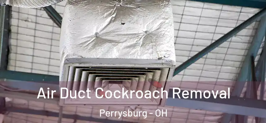  Air Duct Cockroach Removal Perrysburg - OH