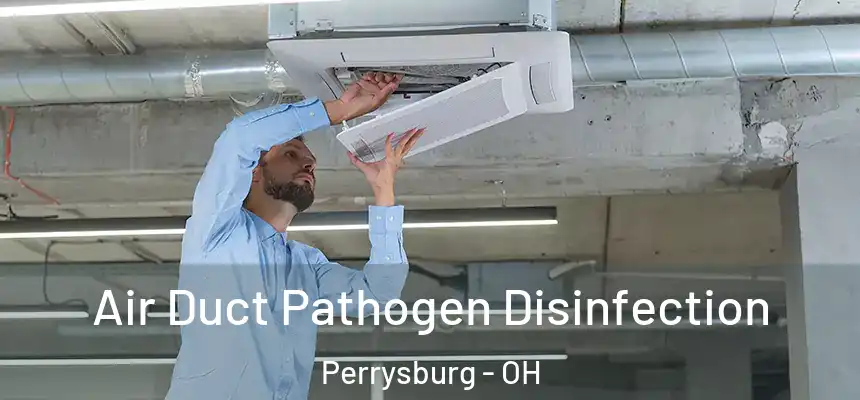 Air Duct Pathogen Disinfection Perrysburg - OH