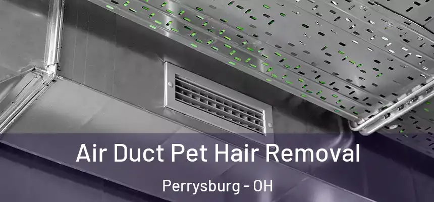  Air Duct Pet Hair Removal Perrysburg - OH