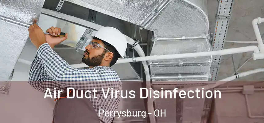  Air Duct Virus Disinfection Perrysburg - OH