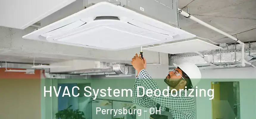  HVAC System Deodorizing Perrysburg - OH