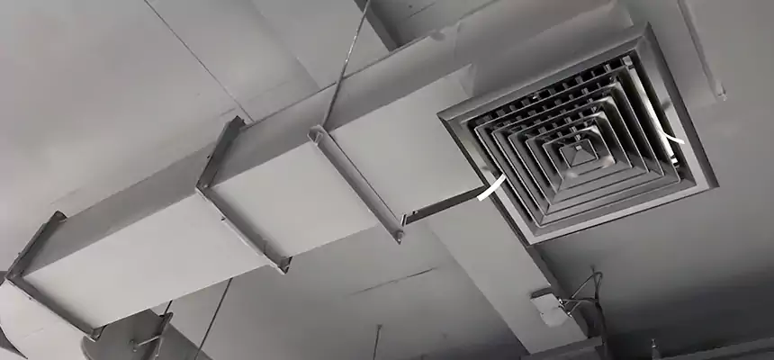 Restorative Allergy Relief Vent Cleaning – Coil, Blower & Housing Detail in Perrysburg