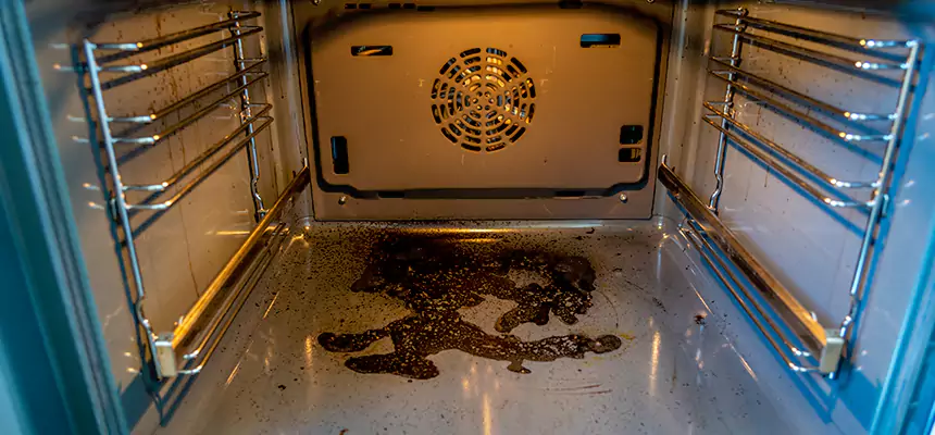 Our Dryer Vent Mold Cleaning Services in Perrysburg, OH