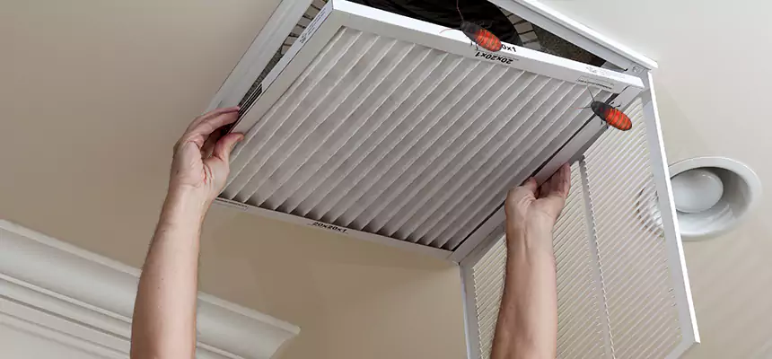 Our Insect Removal from Air Ducts Services in Perrysburg, OH