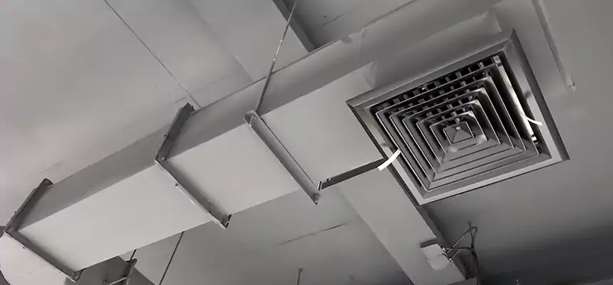 Our Pest Removal From Ducts Services in Perrysburg, OH