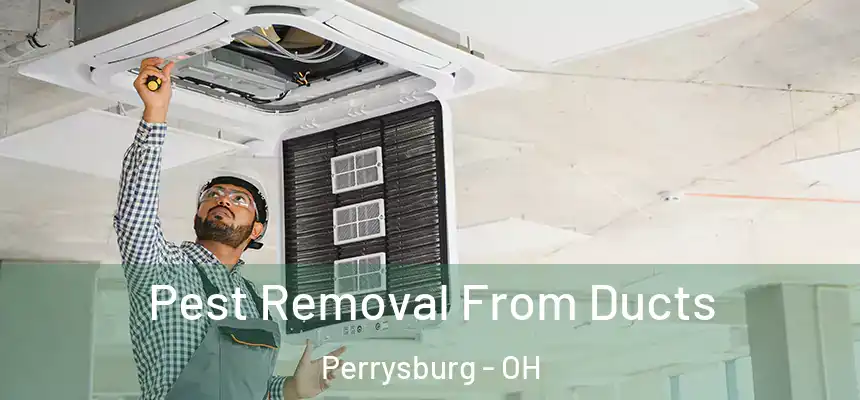  Pest Removal From Ducts Perrysburg - OH