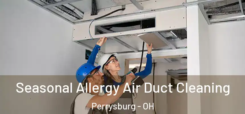  Seasonal Allergy Air Duct Cleaning Perrysburg - OH