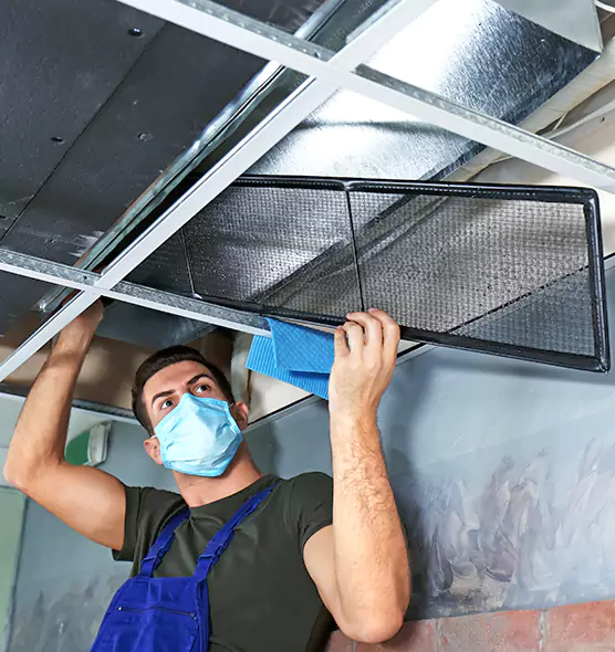 About Air Duct Bacteria Removal in Perrysburg