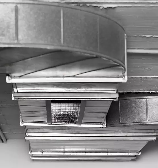 Professional Air Duct Pest Removal in Perrysburg, OH