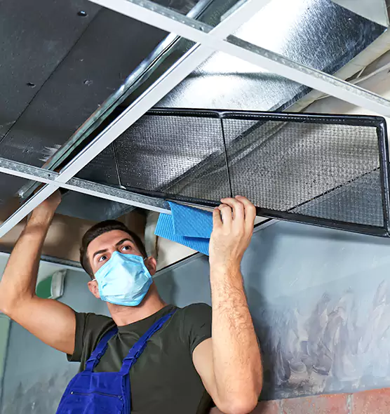 Professional Air Duct Pollen Cleaning in Perrysburg, OH