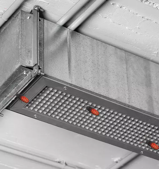 Affordable Insect Removal from Air Ducts in Perrysburg, OH