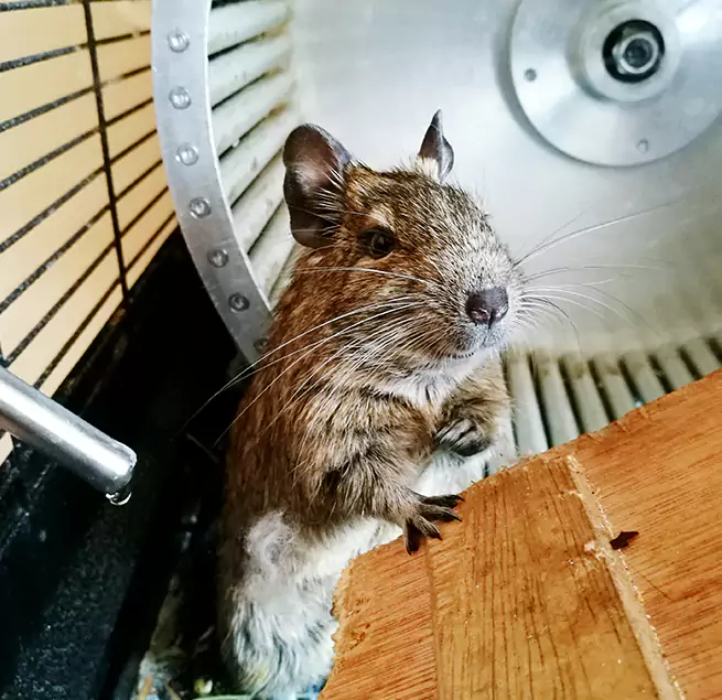 Why Homeowners & Businesses Trust Us Perrysburg, OH?